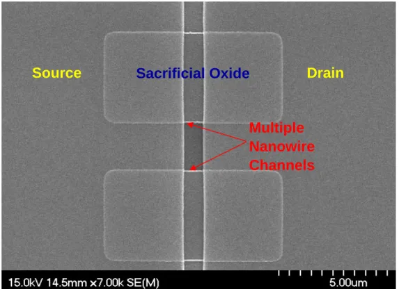 Fig. 2-2(a) The top view SEM image of one sacrificial strip with twin spacer  nanowire before HF etching