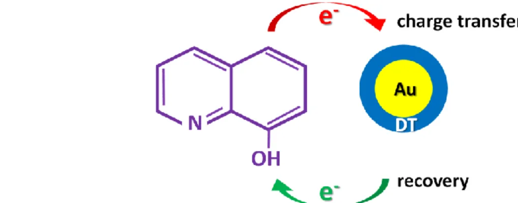 Fig. 1.5  The charge transfer between an Au NP and 8HQ. [64] 