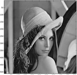Figure 2.6: The image “Lennagrey”.