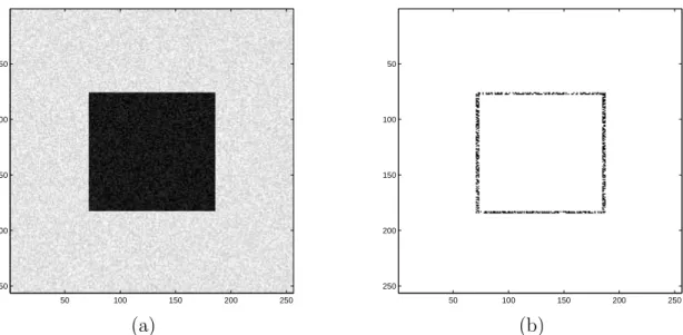 Figure 4.2: (a) The image “Noisesquare”. (b) Pixels for which (2.4) is satis- satis-ﬁed