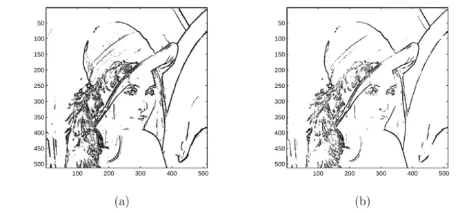 Figure 4.6: Pixels detected as around an edge in image “Lennagrey” when the Sobel operator is used