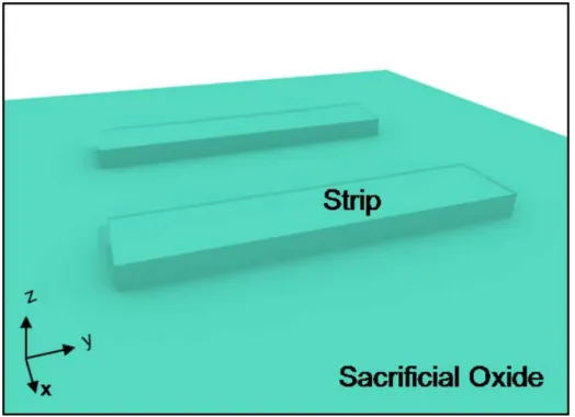 Fig. 2-1(a) The tilted view process step of the strip formation. 