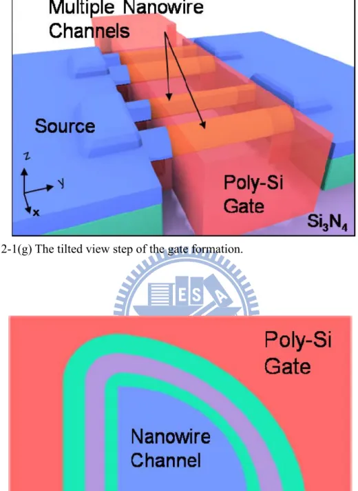 Fig. 2-1(h) The cross-section view step of the gate formation. 