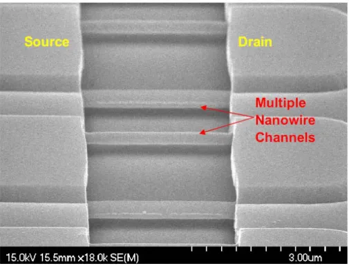 Fig. 2-3(a) The tiled view SEM image of multiple nanowire channels after HF  etching.  