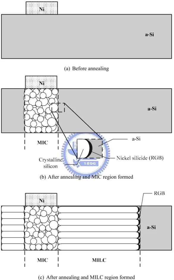 Fig. 1. MILC polysilicon formation during annealing process. 