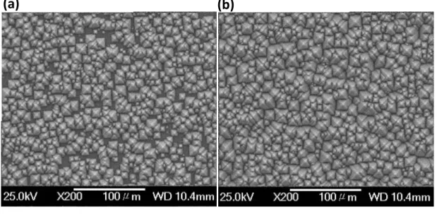 Fig. 2.12: SEM image of silicon surface with different etching time: (a) 30 minutes, (b)  40 minutes, (c) 50minutes, (d) 60minutes