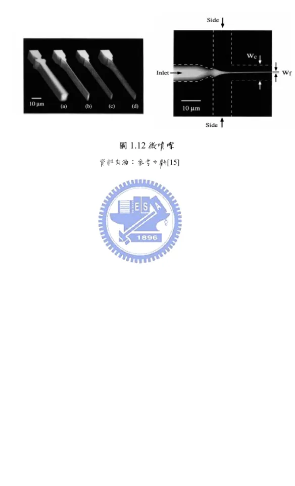 圖 1.12 微噴嘴                                                  資料來 源：參考 文獻[15] 
