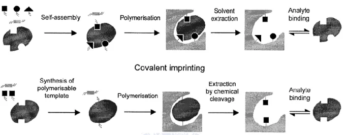 Figure 2-4 Representation of the covalent and non-covalent imprinting processes. [45]
