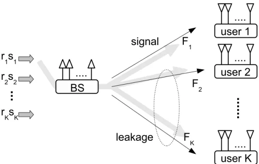 Fig. 4.2: Downlink signal and leakage flows from user 1