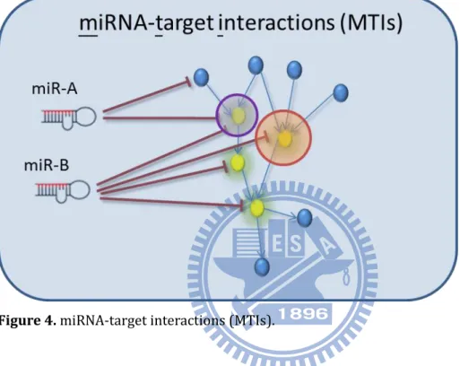 Figure 4 shows the definition of miRNA-target interaction (MTI). Each red line denotes  the repressed relationship between miRNA and its target gene