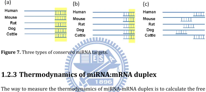 Figure 7. Three types of conserved miRNA targets. 