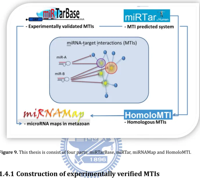 Figure 9. This thesis is consist of four parts: miRTarBase, miRTar, miRNAMap and HomoloMTI