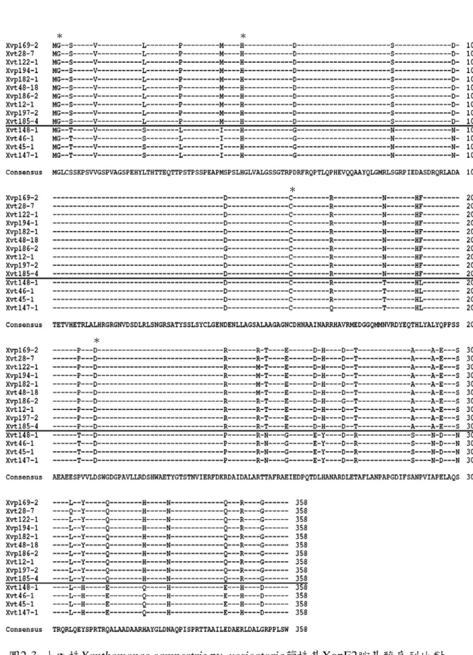 Fig. 2-3.  Multiple alignment of the amino acid sequence of XopE2 from 14 Xcv strains