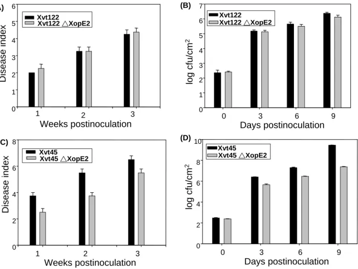 Fig. 2-7. Symptom development and the bacterial growth on tomato leaves. (A)(C) Leaves  of tomato cultivar Bony Best L305 were dipped into 10 8 cfu/ml of bacteria culture and the  disease symptom formation was scored following the rule described in the Mat