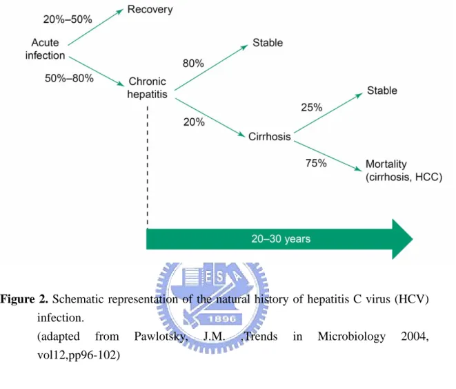 Figure 2. Schematic representation of the natural history of hepatitis C virus (HCV)  infection