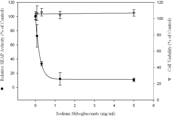 Figure 5. Inhibition of HCV replication by sodium stibogluconate in the  reporter-based cells