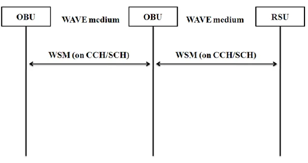 Fig. 2.3  WSM Transmission 