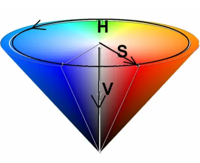 Figure 3-7 : HSV color model [29] 