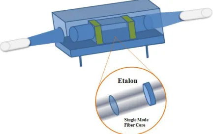 Fig. 2-5 The fiber-type Fabry-Perot tunable filter     