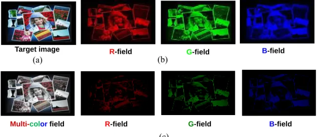 Fig. 3-2    (a) Target image. The field images of (b) RGB color sequence and (c)  Stencil-FSC method