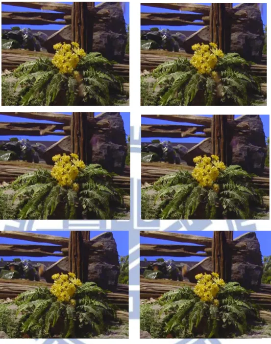 Figure 3.9 The 8 th , 9 th , 12 th , and 49 th  frames of original video (left) Tempete and stego-video (right)