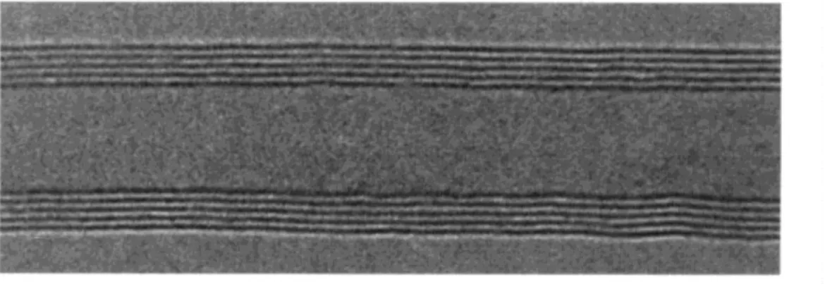 Figure 1-7 High-resolution transmission electron microscopy images  of (a) SWNTs,  and  (b)  MWNTs