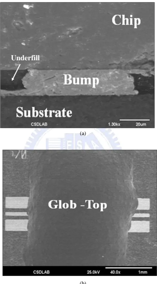 Figure 3.8 (a) SEM micrograph of underfill dispensing on flip chip    (b) SEM micrograph of glob top dispensing on flip chip 