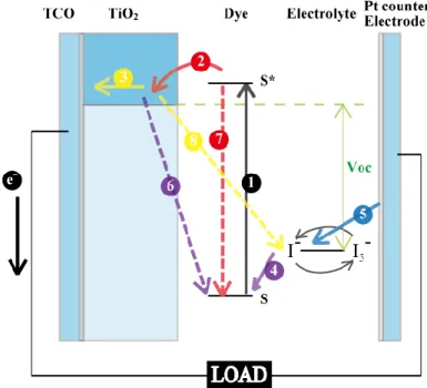 圖 1. 1  染料敏化太陽能電池工作原理示意圖。[15] 
