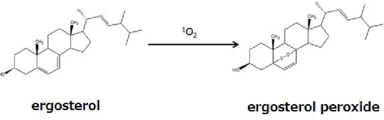 Figure  I-1.  Scheme  of  formation  of  ergosterol  peroxide  from  ergosterol  in  the  presence  of  reactive oxygen species