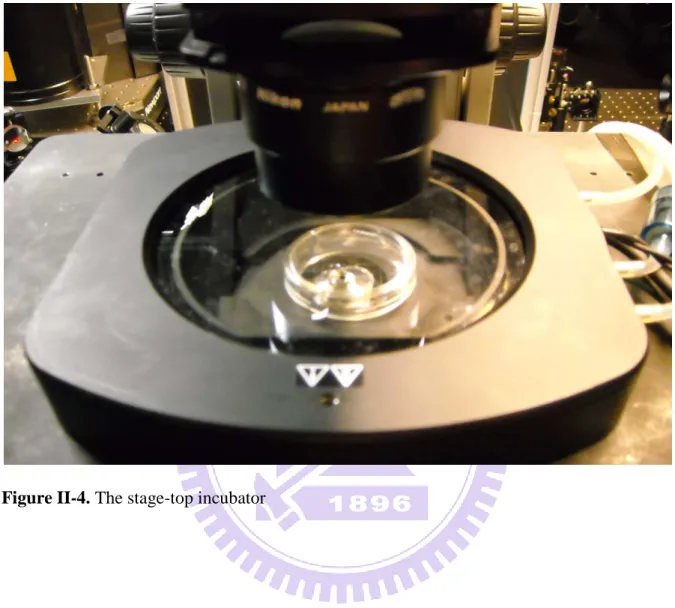 Figure II-4. The stage-top incubator   
