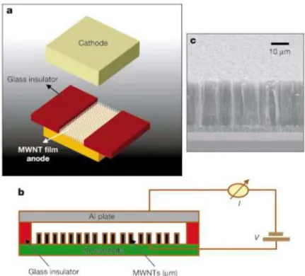 Figure 1-15    The carbon nanotubes gas ionization sensor proposed by Modi et al  [4]