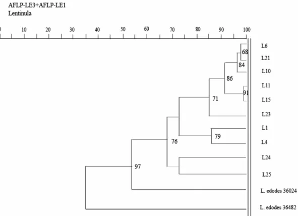 Fig. 4 Dendogram of L. edodes constructed using AFLP assay. 
