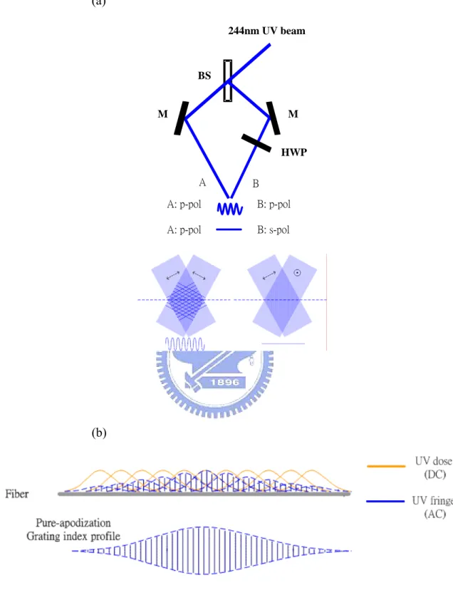 Fig 2.2 (a) Pure apodization setup. M: Mirror, HWP: half wave plate, BS: beam splitter, A: arm A, B: arm  B