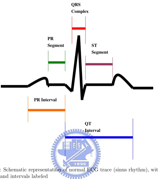 Figure 2.1: Schematic representation of normal ECG trace (sinus rhythm), with waves, segments, and intervals labeled