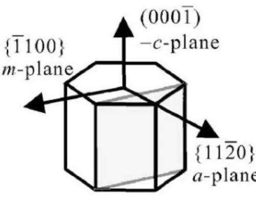 Fig. 3-1 Crystal structure of InN [8]