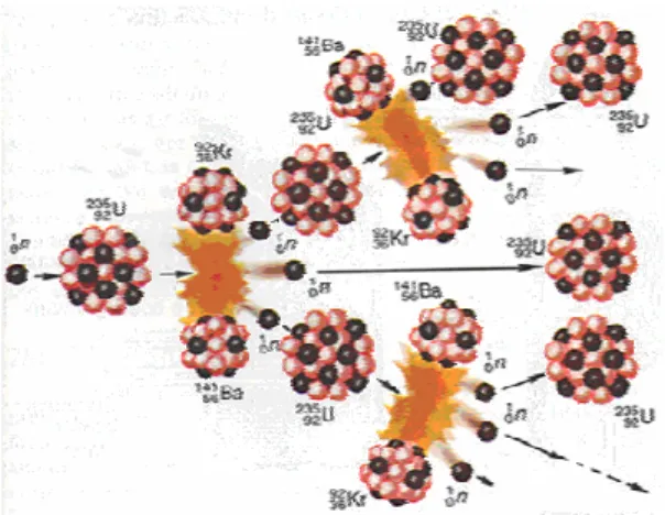 圖 2-6 為中子誘發 235 U 核分裂之過程，熱中子（Thermal Neutron） 與 235 U 反應生成過渡態之 236 U*中，有 6 7 之機率會進行核分裂，另外， 17 之機率會放出γ射線回到基態。分裂成兩個中等體積之裂變產物，包含 28 Ni 到 65 Tb 之間之各種可能同位素，原子量分佈於 72 到 162 之間多種 元素之同位素原子核，並放出 2~3 個新中子，此新生之中子經緩和劑 （Moderator）減速後，又可引起其他 U 原子核之分裂，這樣連續不斷 反應，稱為核分裂鏈反應（