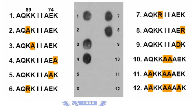 Figure 12: Role of charged residues in antigenic specificity determined by a peptide array