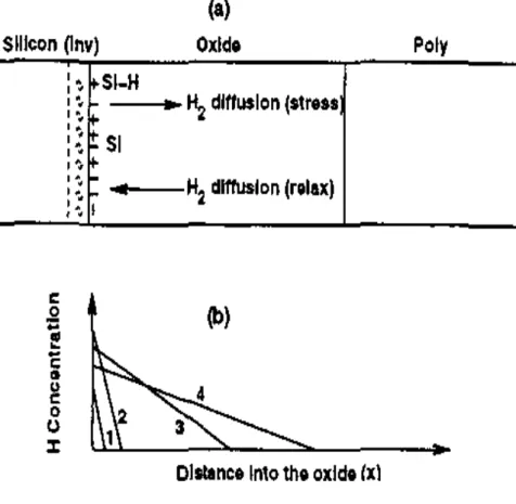 Fig. 3-1 Graphics of Reaction-Diffusion models for NBTI 