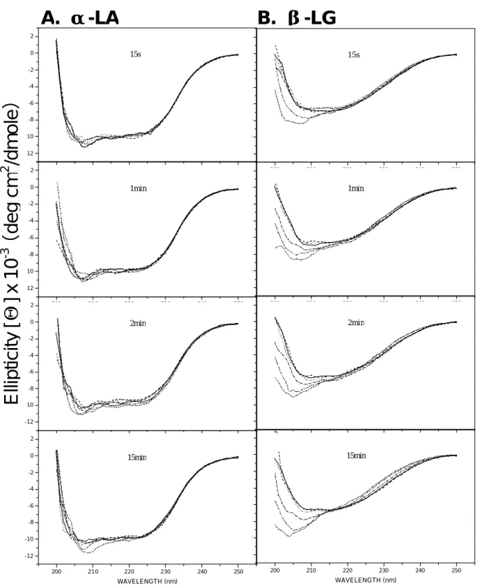 Fig. 6.  Circular dichroic spectra of heated  α- LA and  β-LG at various temperatures