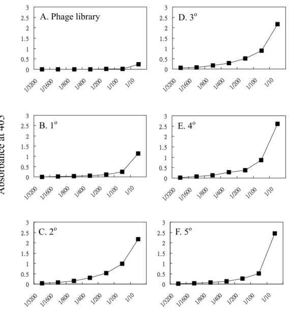 Figure 21：Polyclonal phages 對 α- lactalbumin 專一性之標定曲線。 
