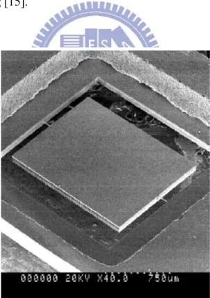 Figure 1-25. SEM micrograph of the upper structure with a bonded glass plate [15]. 