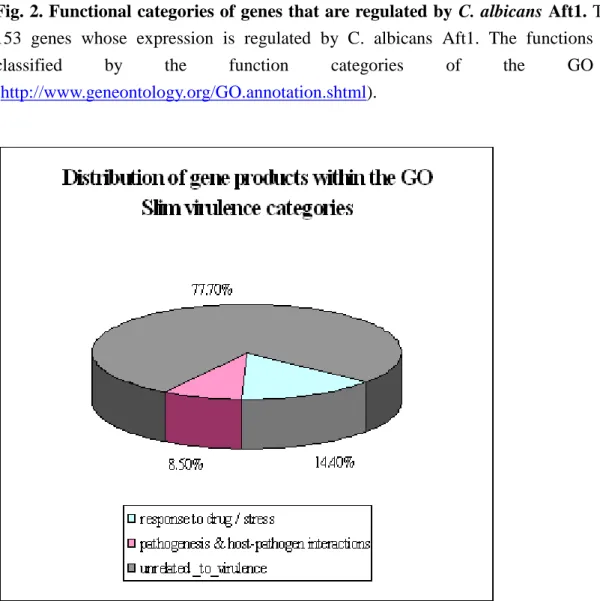 Fig. 3. CaAft1 controls C. albicans genes may be related to virulence.   