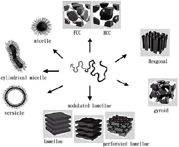 Figure 1-4. The well-known structures of block copolymers in melt, solution or solid  state