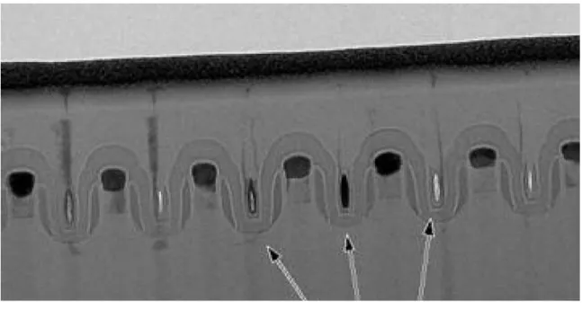 Fig. 1-6 Voids in the dense poly regions on STI can lead to shorts in the  circuitry, when filled with tungsten contact material.[27] 