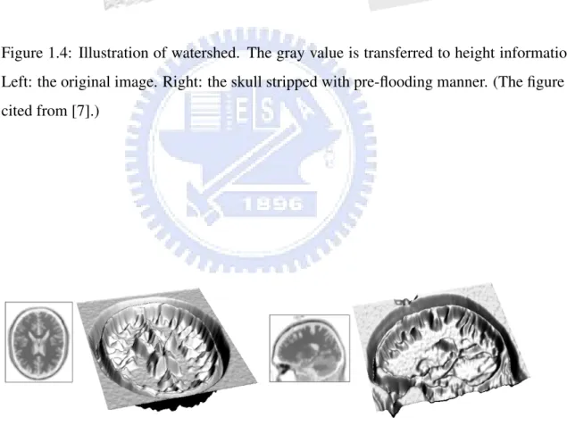 Figure 1.5: Illustration of pre-flooded watershed. The gray level of Figure 1.4 is inverted