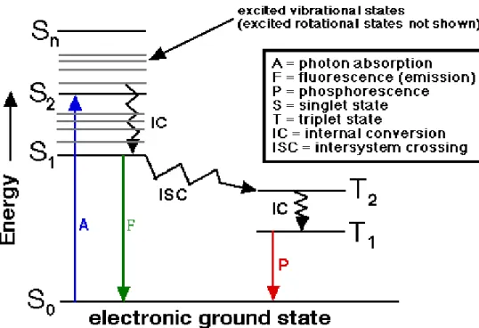 Figure 1.1 Example of a Jablonski diagram representing the  fate of a photoexcited  molecule  [26]