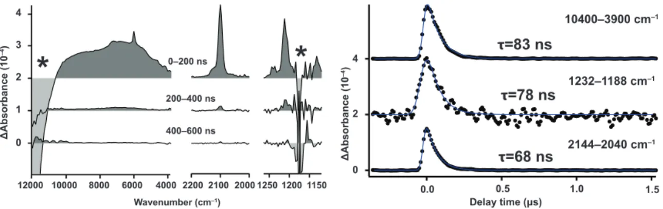 Figure  III–7.  Left:  Time-resolved  near-  and  mid-IR  spectra  of  Py  (5.0  mM)  and  DCB  (50  mM) dissolved in benzene, excited at 355 nm with argon bubbling