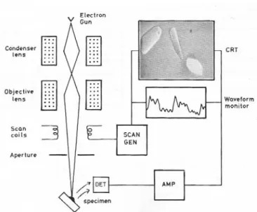 Fig. 2-1 Schematic diagram of a scanning electron microscope 