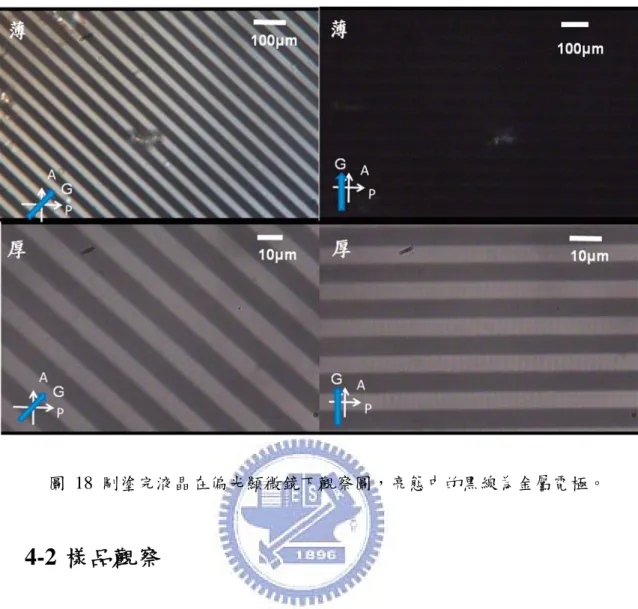 圖  18  剛塗完液晶在偏光顯微鏡下觀察圖，亮態中的黑線為金屬電極。  4-2 樣品觀察    由 SEM 圖確認奈米壓印微結構的精確性，由圖 19(a)可以看出溝槽的 深度約為 1.177μm，週期為 1.856μm，與預其中的深度 1.3μm，週期 1.8μm 的期望值相近。有 1.043μm 的殘餘層。我們藉由殘餘層可計算外加電壓時 真正跨在液晶層上的跨壓，及跨在奈米壓印薄膜上的電壓，等效電路如圖 20。假設液晶盒厚度為 20 μm，當液晶分子完全站直，我們看到液晶層的 介電常數為 ε  ，所以跨