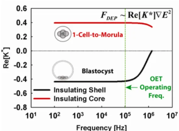Fig. 1: Overview of OET device for embryo sorting. Incident light creates localized areas of high conductivity in a-Si:H layer